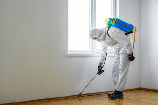 Best Indoor Pest Control  in Beloit, KS